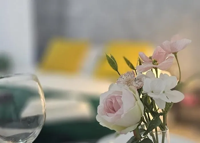 Sweet Dreams Charming Universitate